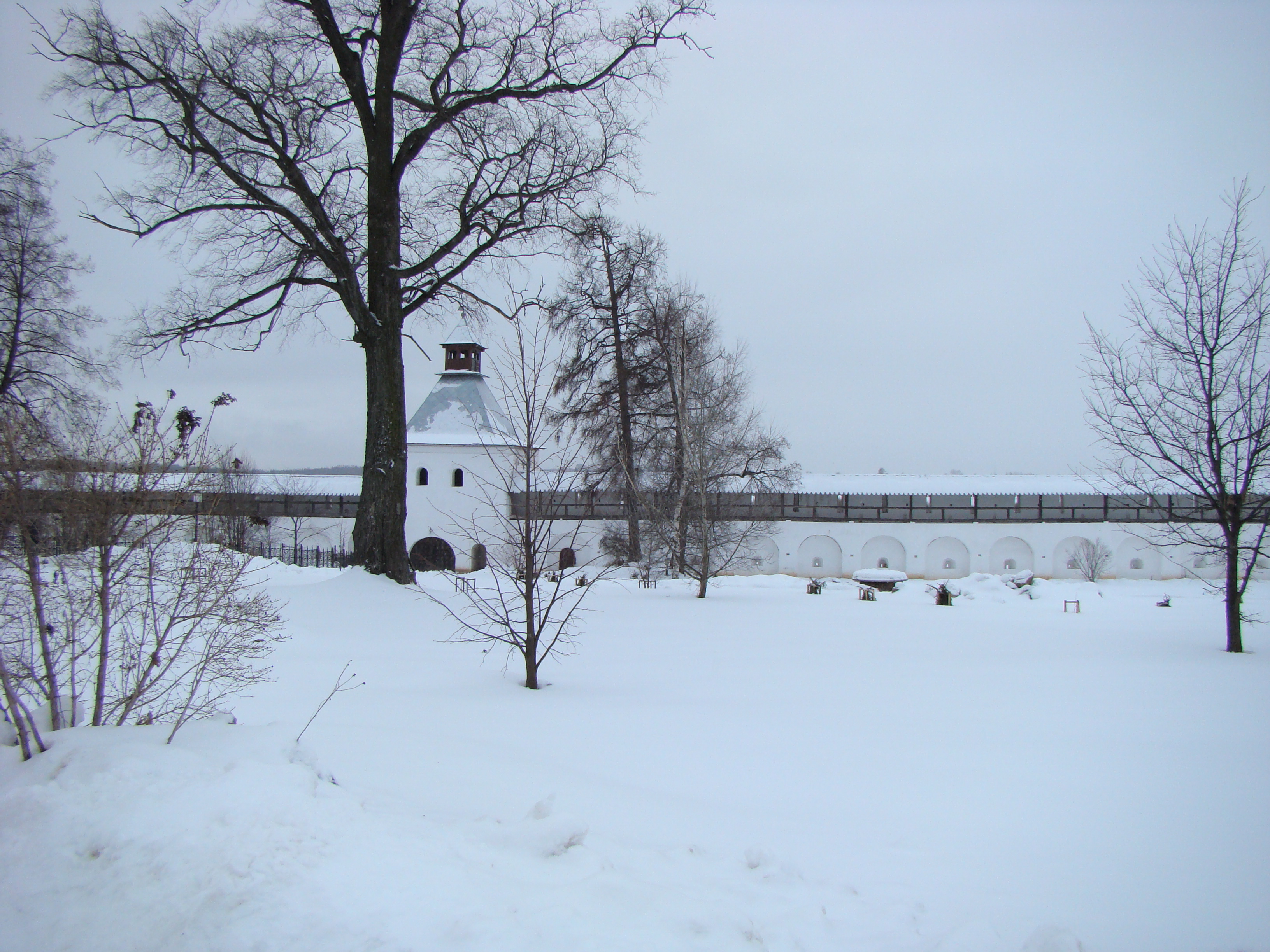 DSC00235.JPG