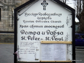 DSC07763_medium.JPG