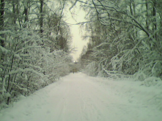 IMG0089A.jpg