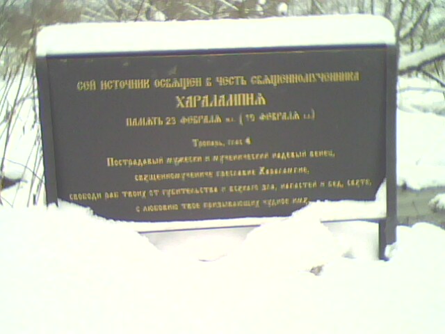 IMG0085A.jpg