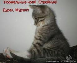 images__8_.jpg