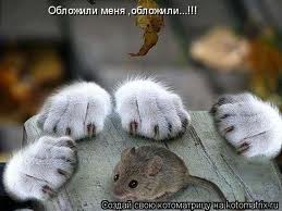 images__2_.jpg
