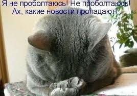 images__6_.jpg