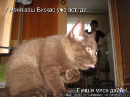 images__5_.jpg