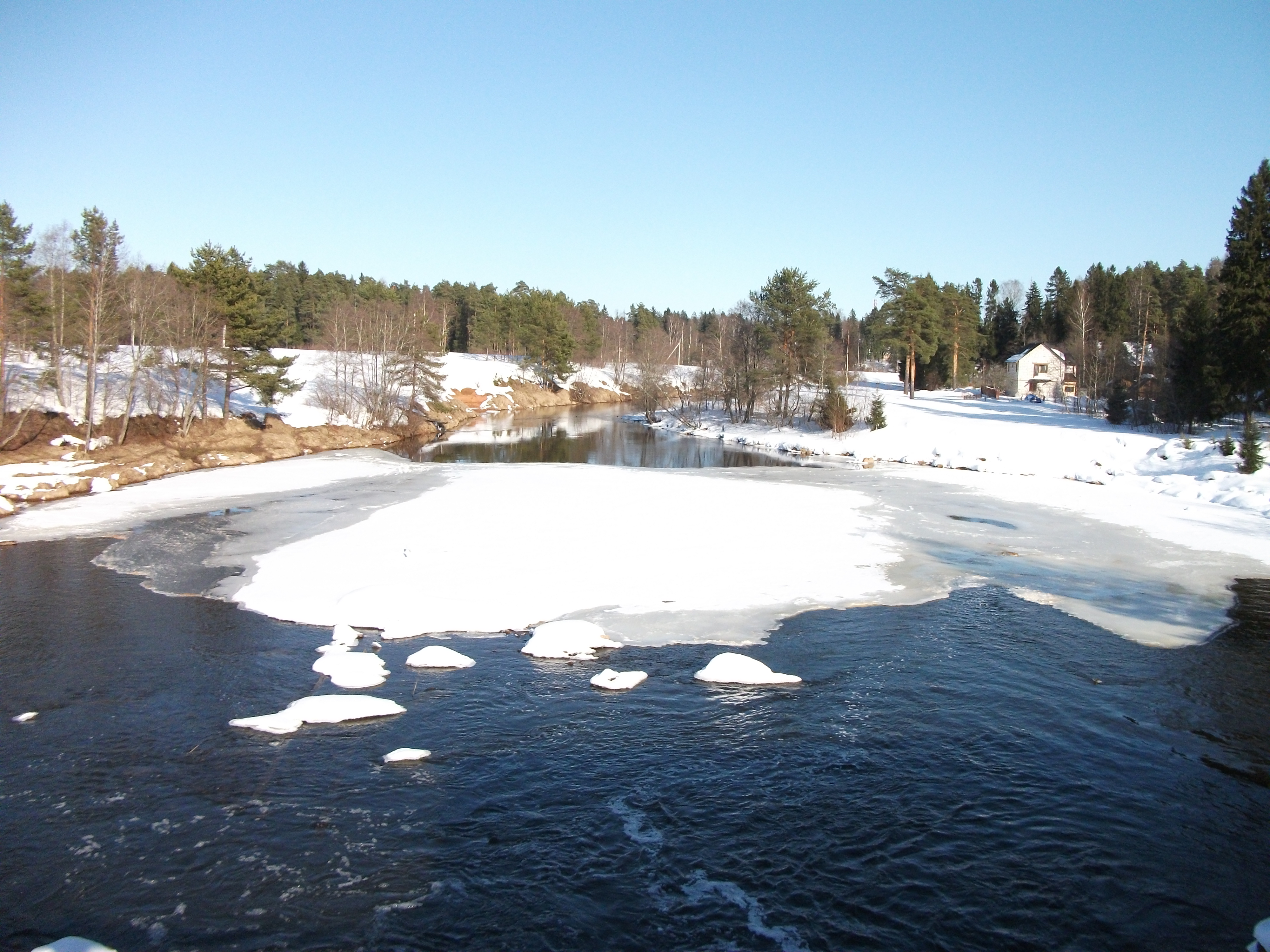 DSCF9040.JPG