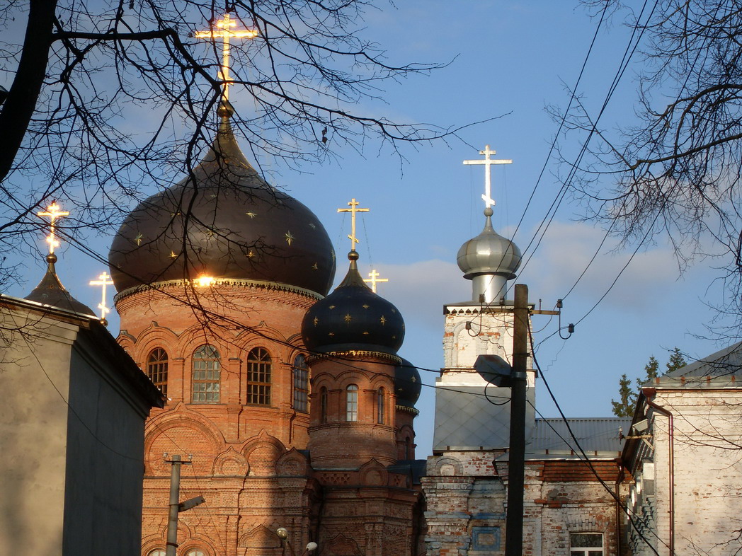 SDC15599.jpg