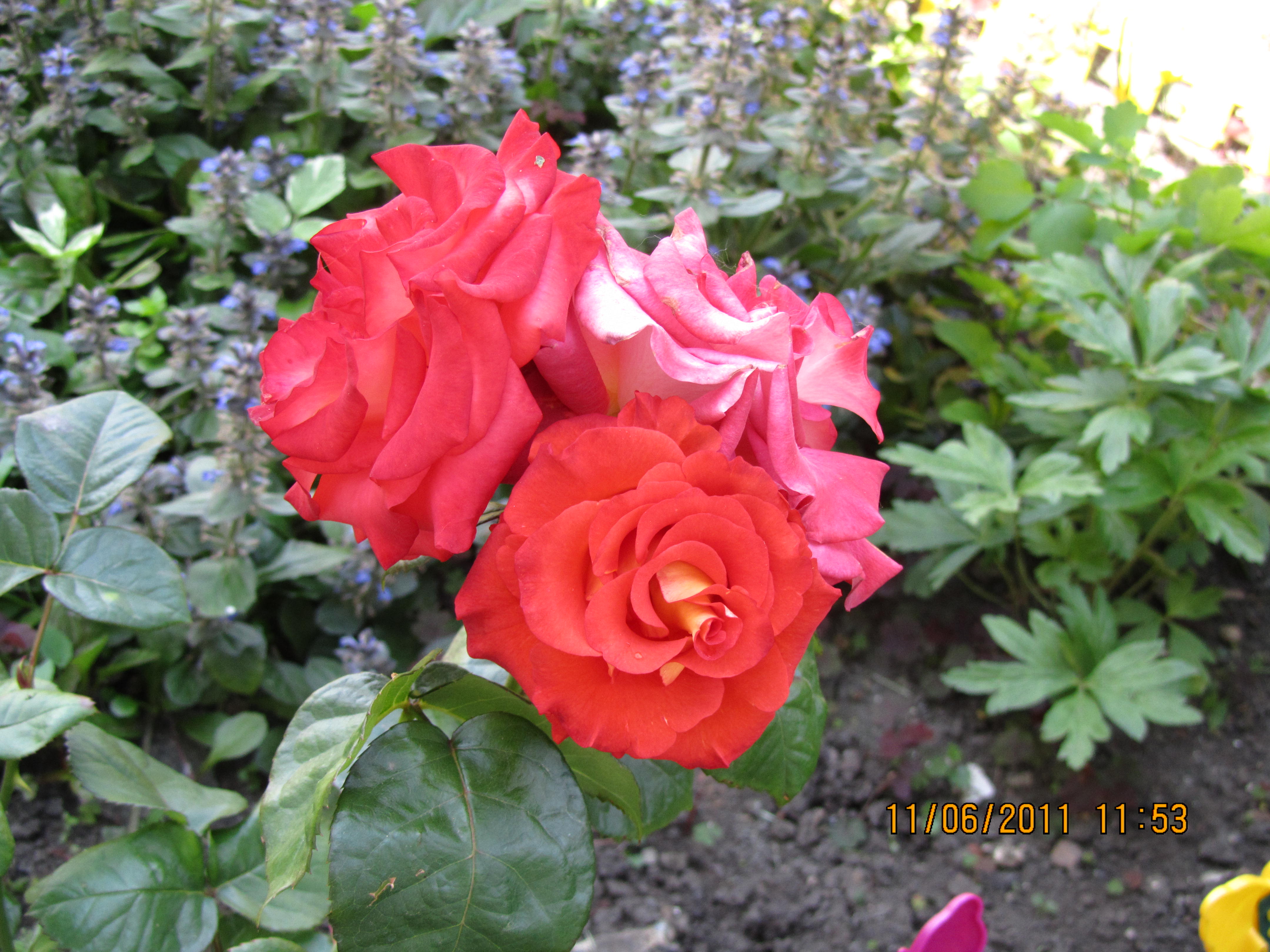 IMG_0531.JPG