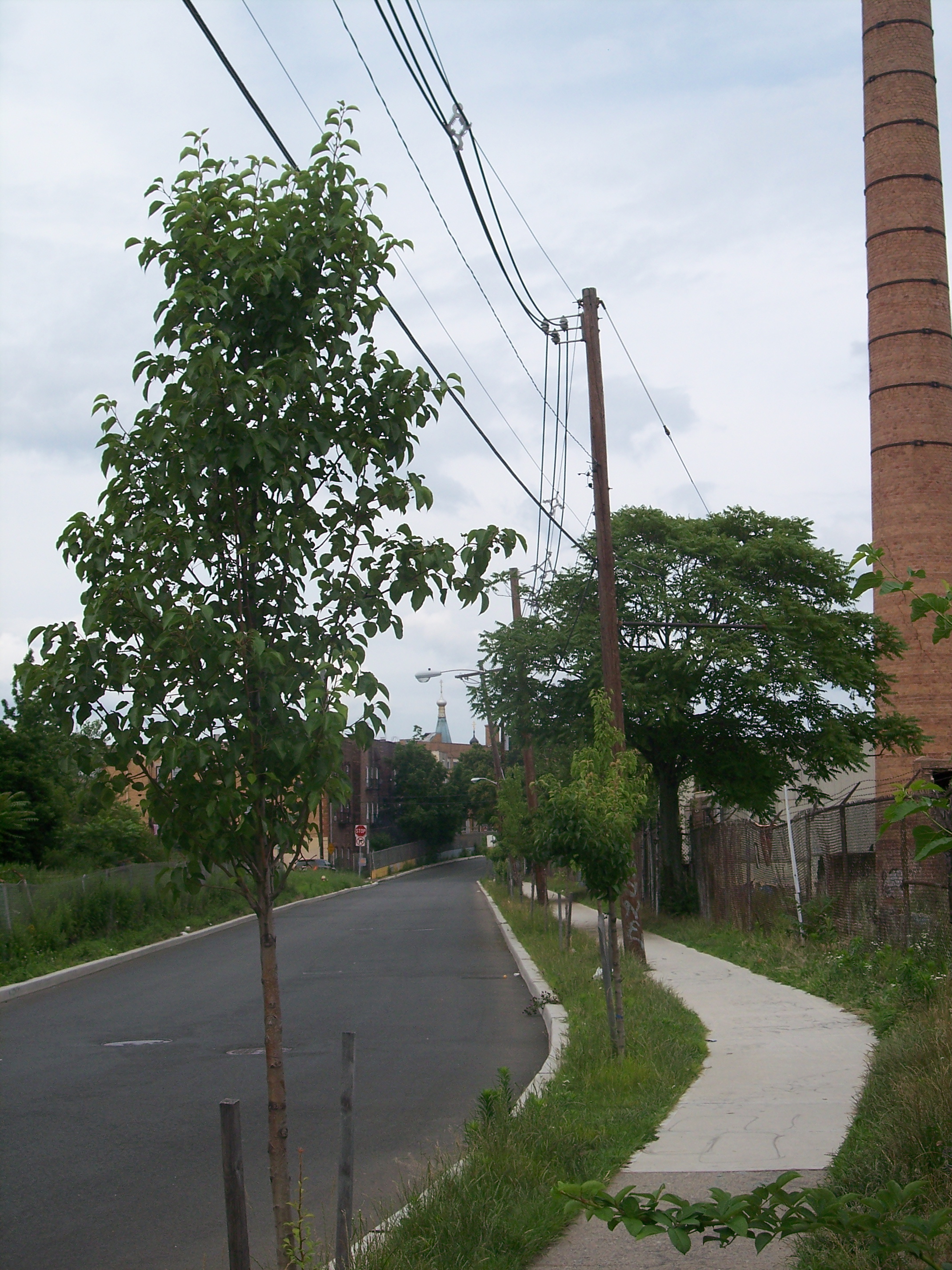 Passaic_4_SS_Peter_and_Paul_far.JPG