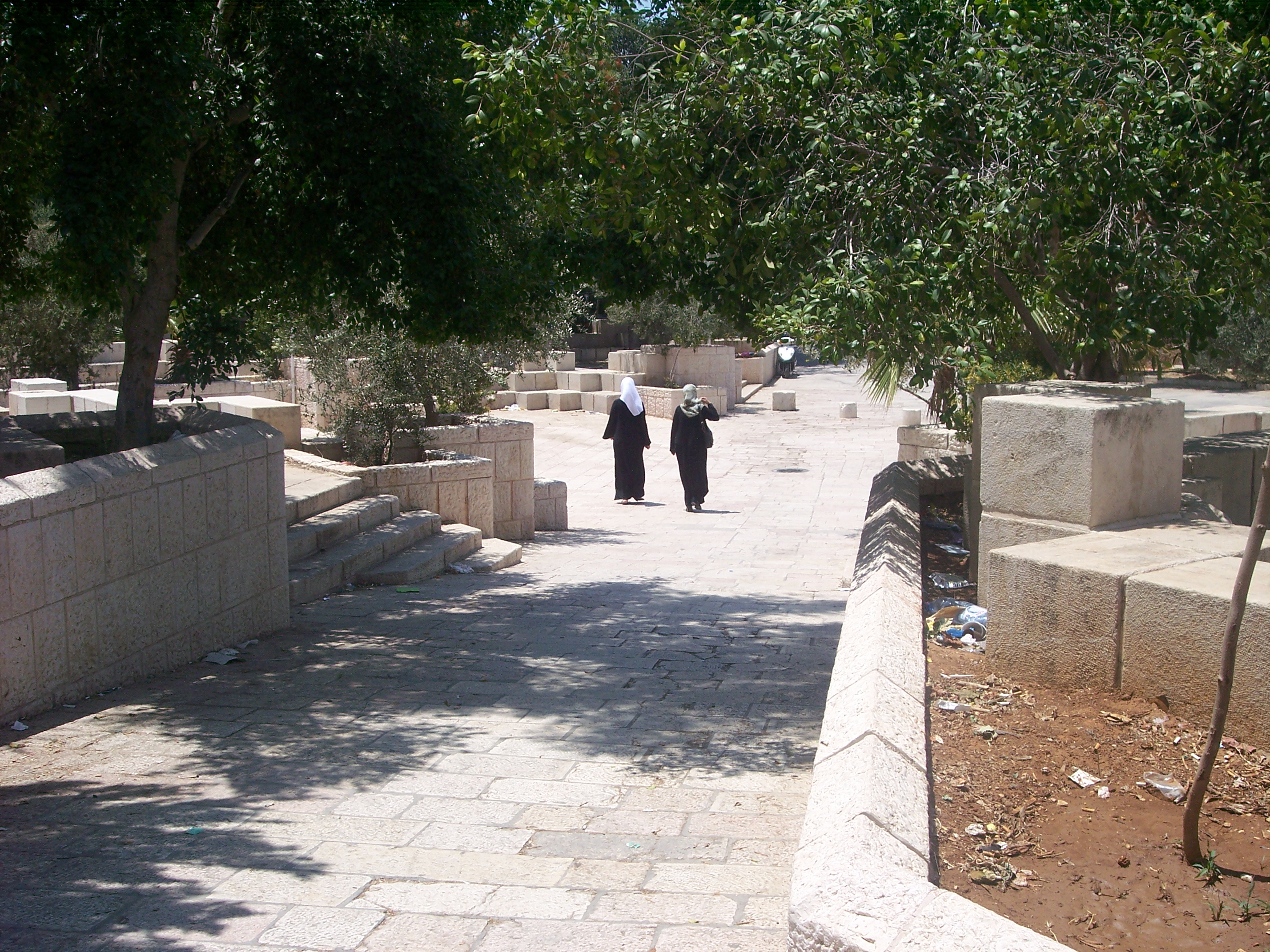 Muslim_ladies_in_Arabic_quarters.JPG
