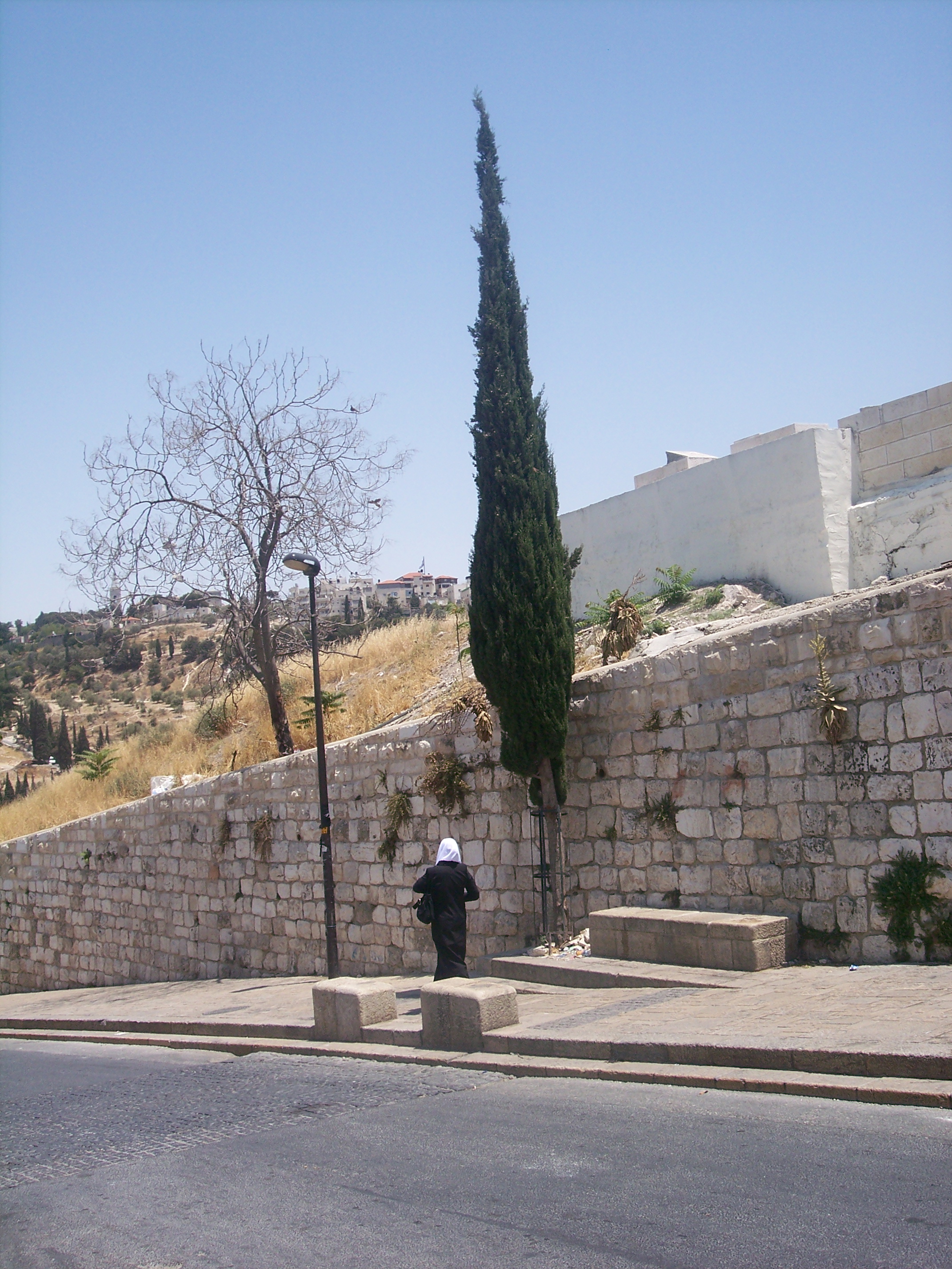 Muslim_lady_walking_from_Damascus_gate.JPG