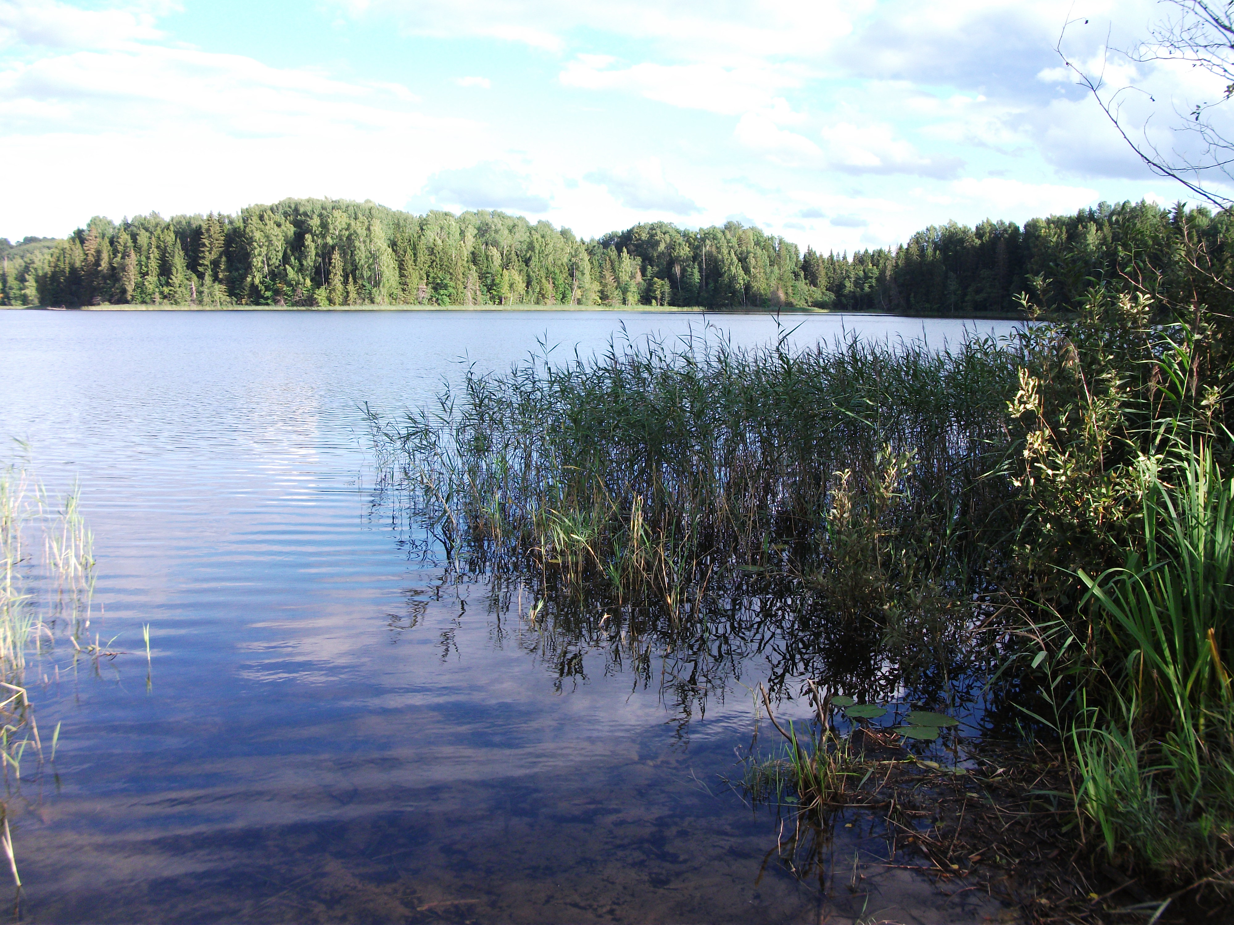 DSCF9289.JPG