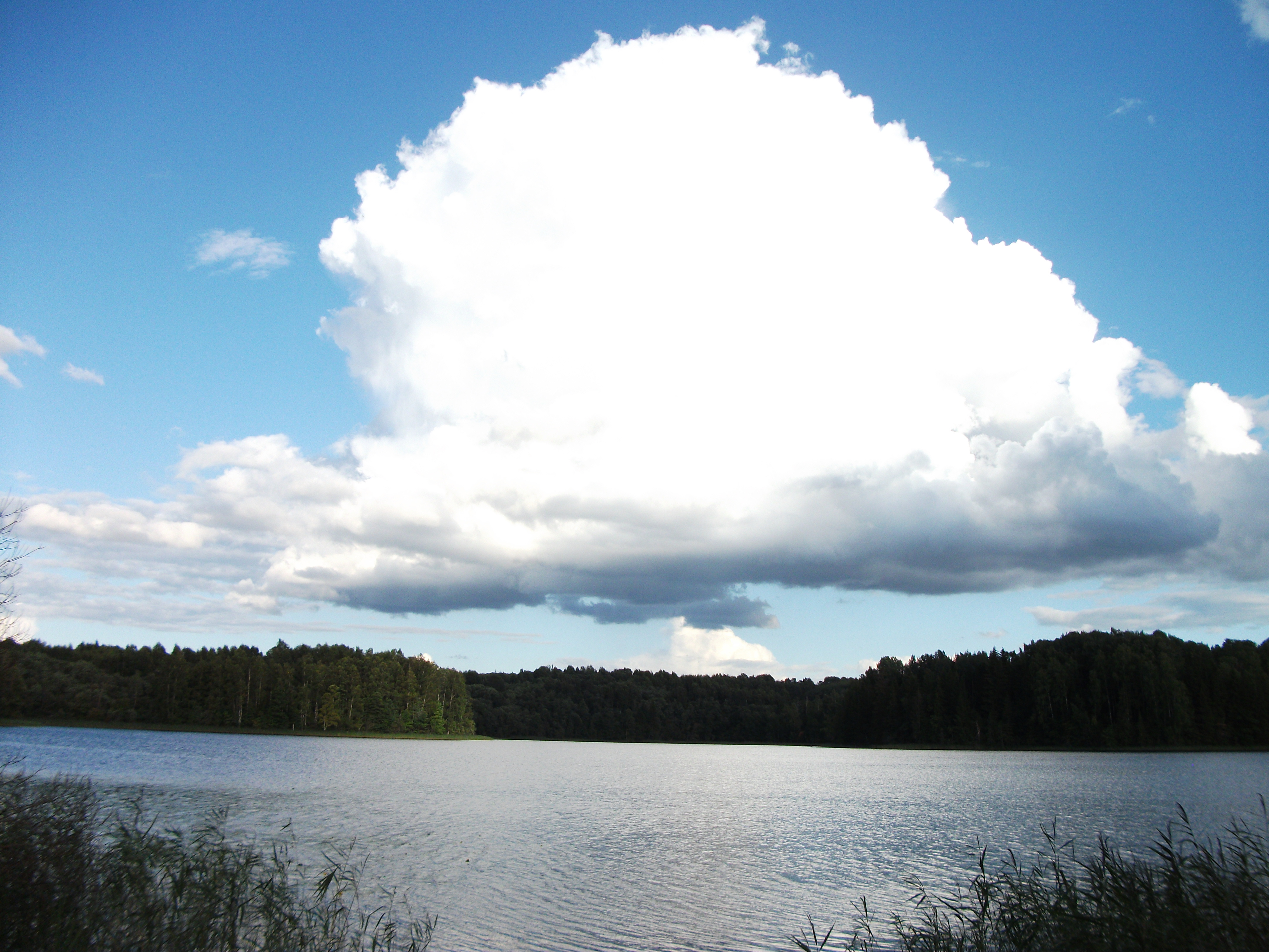 DSCF9290.JPG