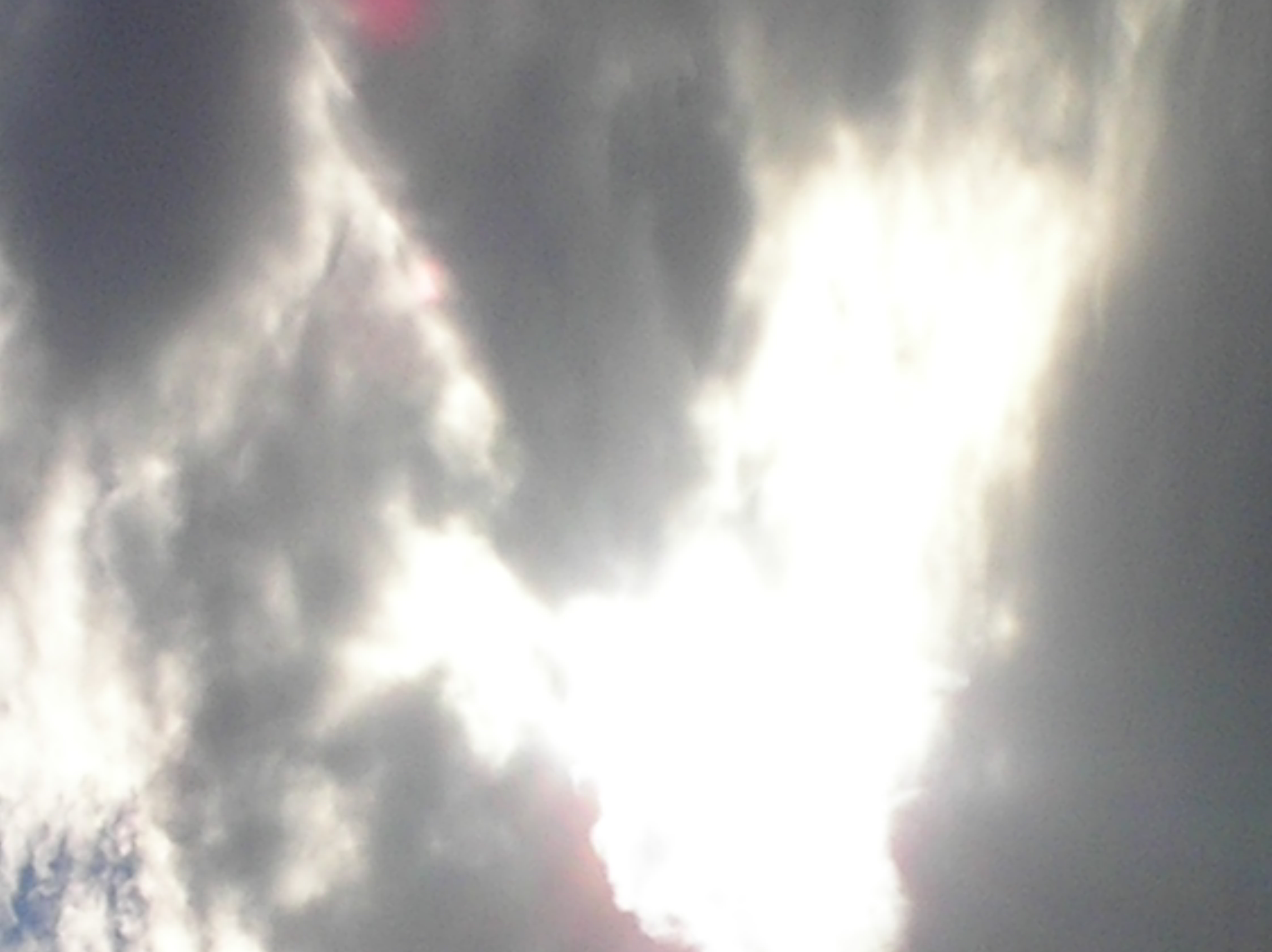 PA090055.JPG