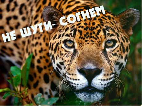 125.jpg