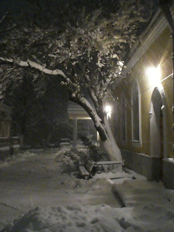 первый_снег.JPG